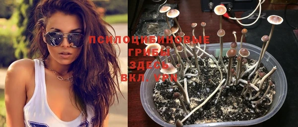 сатива Балабаново