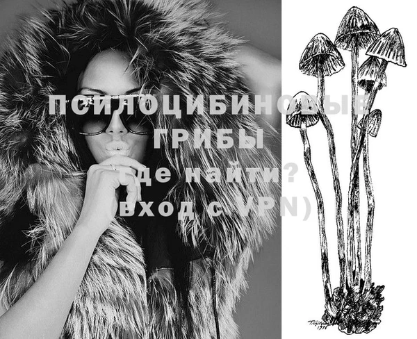 сатива Балабаново