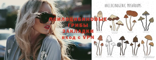 сатива Балабаново